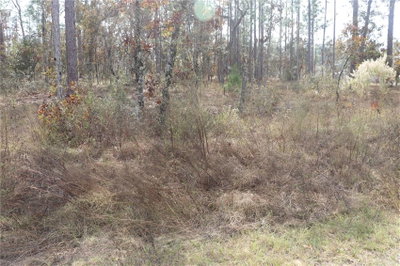 00 GERANIUM Avenue, Dunnellon, FL, 34431 — photo 2