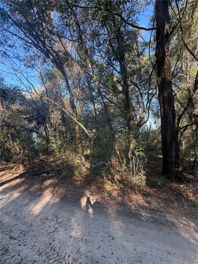 SW 148TH CT 32 ND Place, Ocala, FL, 34481 — photo 2