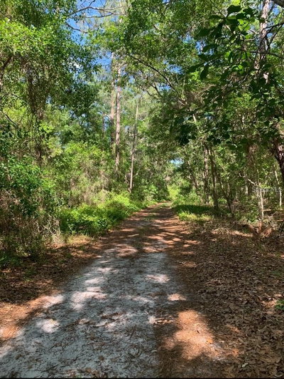 226TH Street, Fort Mc Coy, FL, 32134 — photo 2