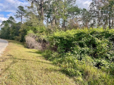 000 FISHER Run, Ocklawaha, FL, 32179 — photo 2