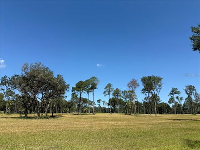 DR #7 (10ac) 193RD ST, Micanopy, FL, 32667 — photo 2