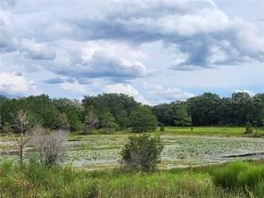 ORANGE RD, Ocklawaha, FL, 32179 — photo 2