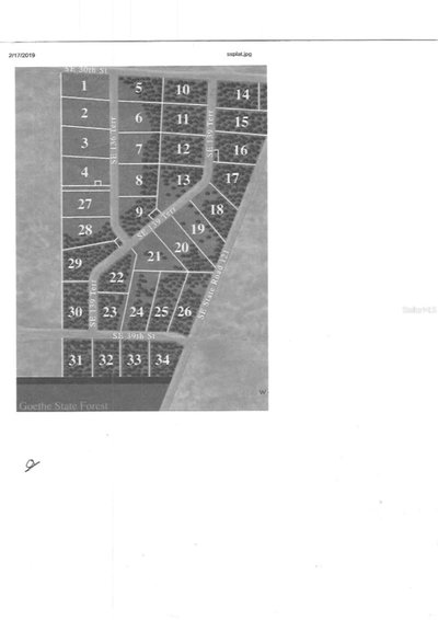 00 136TH.  LOT 9 Terrace, Morriston, FL, 32668 — photo 2