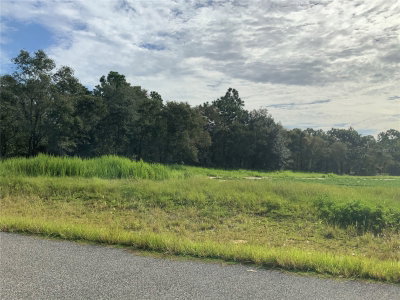 39TH.  LOT 33 Street, Morriston, FL, 32668 — photo 2