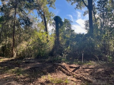 TBD 160TH Street, Reddick, FL, 32686 — photo 2