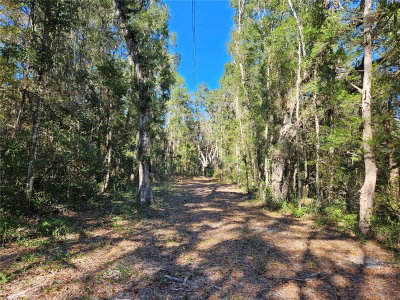 tbd 175TH Avenue, Williston, FL, 32696 — photo 2