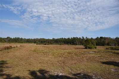81 CLOUDS AVE, Interlachen, FL, 32148 — photo 2