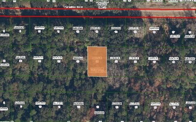 324 EDGEWOOD Drive, Georgetown, FL, 32139 — photo 2