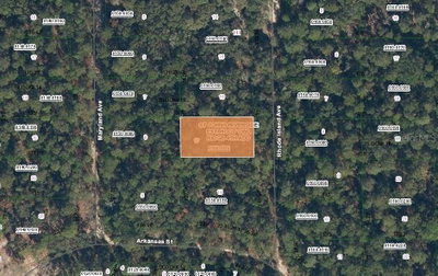105 RHODE ISLAND Avenue, Satsuma, FL, 32189 — photo 2