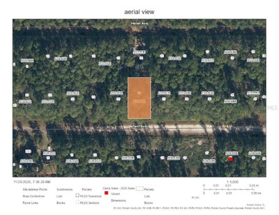 226 TERRI Avenue, Georgetown, FL, 32139 — photo 2