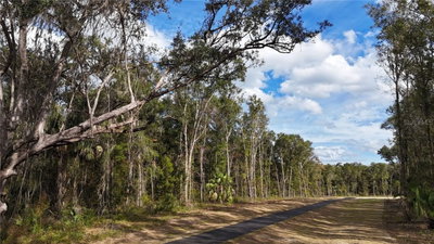 Irvine Acres #3 HWY 318, Reddick, FL, 32686 — photo 2