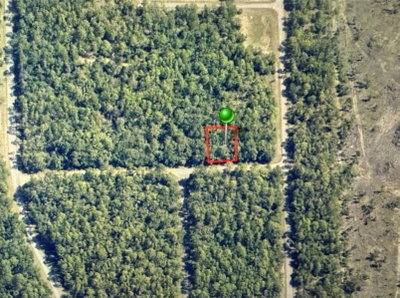 1409 FERGASON Lane, Dunnellon, FL, 34434 — photo 2