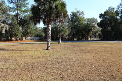 6TH Place, Silver Springs, FL, 34488 — photo 2