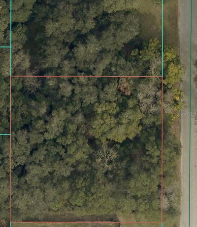 TBD 94 Court, Summerfield, FL, 34491 — photo 2