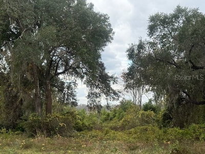 175TH Terrace, Silver Springs, FL, 34488 — photo 2