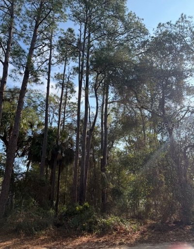 TBD 236 Terrace, Fort Mc Coy, FL, 32134 — photo 2