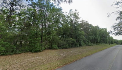 TBD 59TH Street, Ocklawaha, FL, 32179 — photo 2