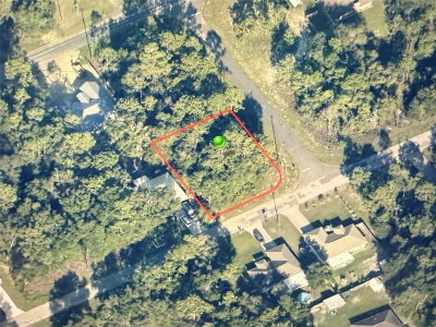 9540 PINEVIEW Way, Citrus Springs, FL, 34434 — photo 2