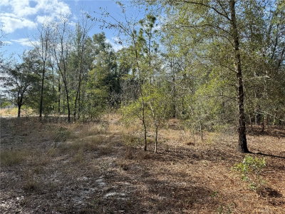 92ND Court, Belleview, FL, 34420 — photo 2