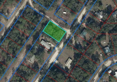 15950 4TH Place, Williston, FL, 32696 — photo 2