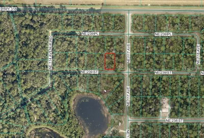 NE 239TH ST, Fort Mc Coy, FL, 32134 — photo 2