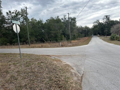 SHOREWOOD Drive, Dunnellon, FL, 34431 — photo 2