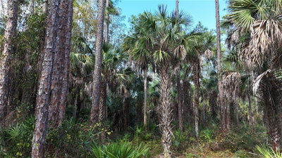 16TH AVE SE, Naples, FL, 34117 — photo 2