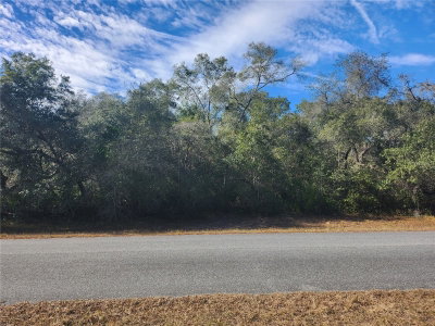 TBD 29 TERRACE Road, Ocala, FL, 34473 — photo 2
