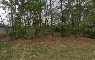 50TH Circle, Ocala, FL, 34473 — photo 2