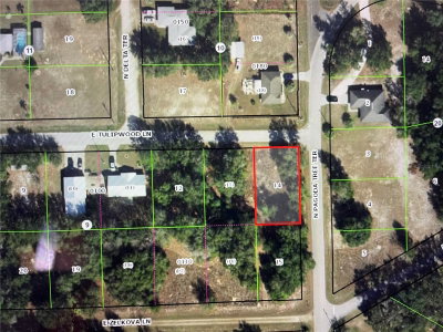 3798 TULIPWOOD Lane, Hernando, FL, 34442 — photo 2