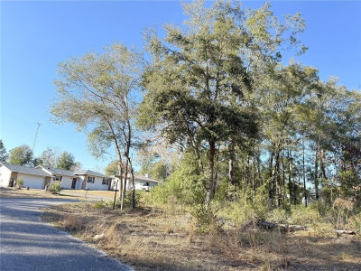 15331 3RD Lane, Williston, FL, 32696 — photo 2