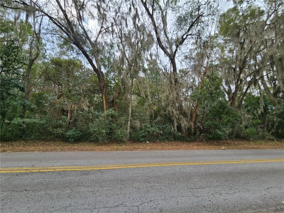 tbd 6TH Avenue, Williston, FL, 32696 — photo 2