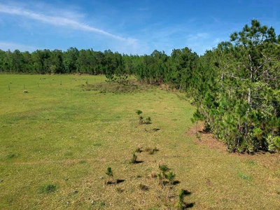 DEEN STILL RD E Road, Polk City, FL, 33868 — photo 2