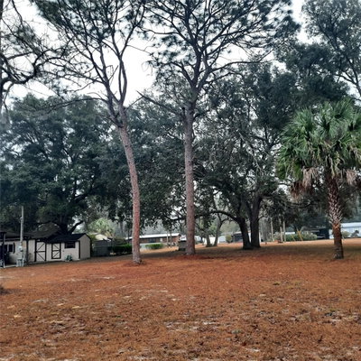 0000 148TH Court, Fort Mc Coy, FL, 32134 — photo 2