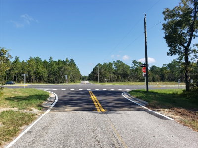 TBD STATE ROAD 20, Hawthorne, FL, 32640 — photo 2