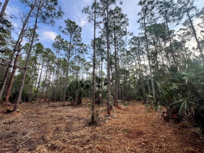 PANTERA LN, Naples, FL, 34120 — photo 2