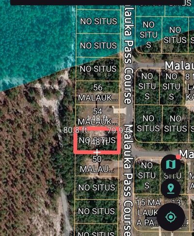 MALAUKA PASS CRSE, Ocklawaha, FL, 32179 — photo 2