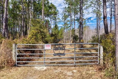 60 Acres CLYATT ROAD, Chiefland, FL, 32626 — photo 2