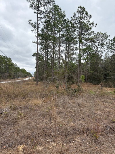 1159 REDWOOD Drive, Dunnellon, FL, 34431 — photo 2