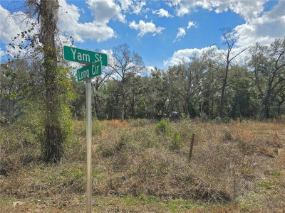 6436 YAM Street, Webster, FL, 33597 — photo 2