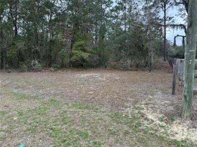 0000 123 RD Terrace, Morriston, FL, 32668 — photo 2