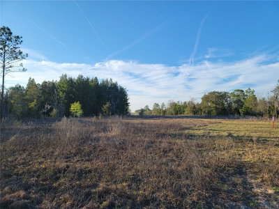 20TH Street, Williston, FL, 32696 — photo 2