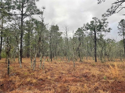 TBD 71 Street, Morriston, FL, 32668 — photo 2