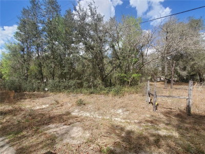 172ND PL LOT 11, Fort Mc Coy, FL, 32134 — photo 2