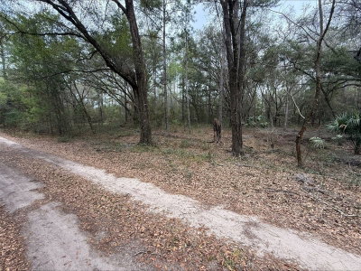 00 9TH Place, Ocala, FL, 34481 — photo 2
