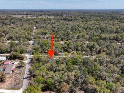 NE 54 Place, Williston, FL, 32696 — photo 2