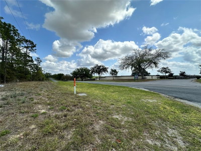 TBD 30TH Street, Morriston, FL, 32668 — photo 2