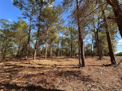HWY 40, Ocala, FL, 34481 — photo 2