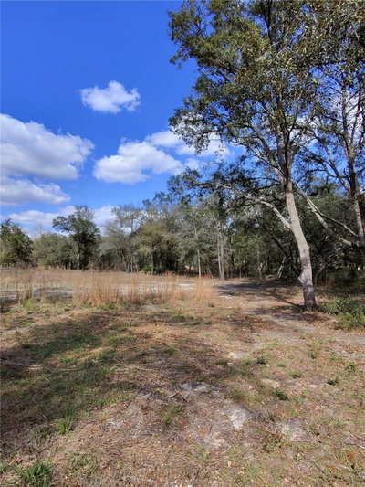 TBD 96TH Street, Archer, FL, 32618 — photo 2