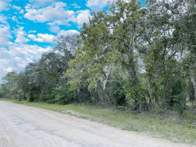TBD 85TH Street, Bronson, FL, 32621 — photo 2